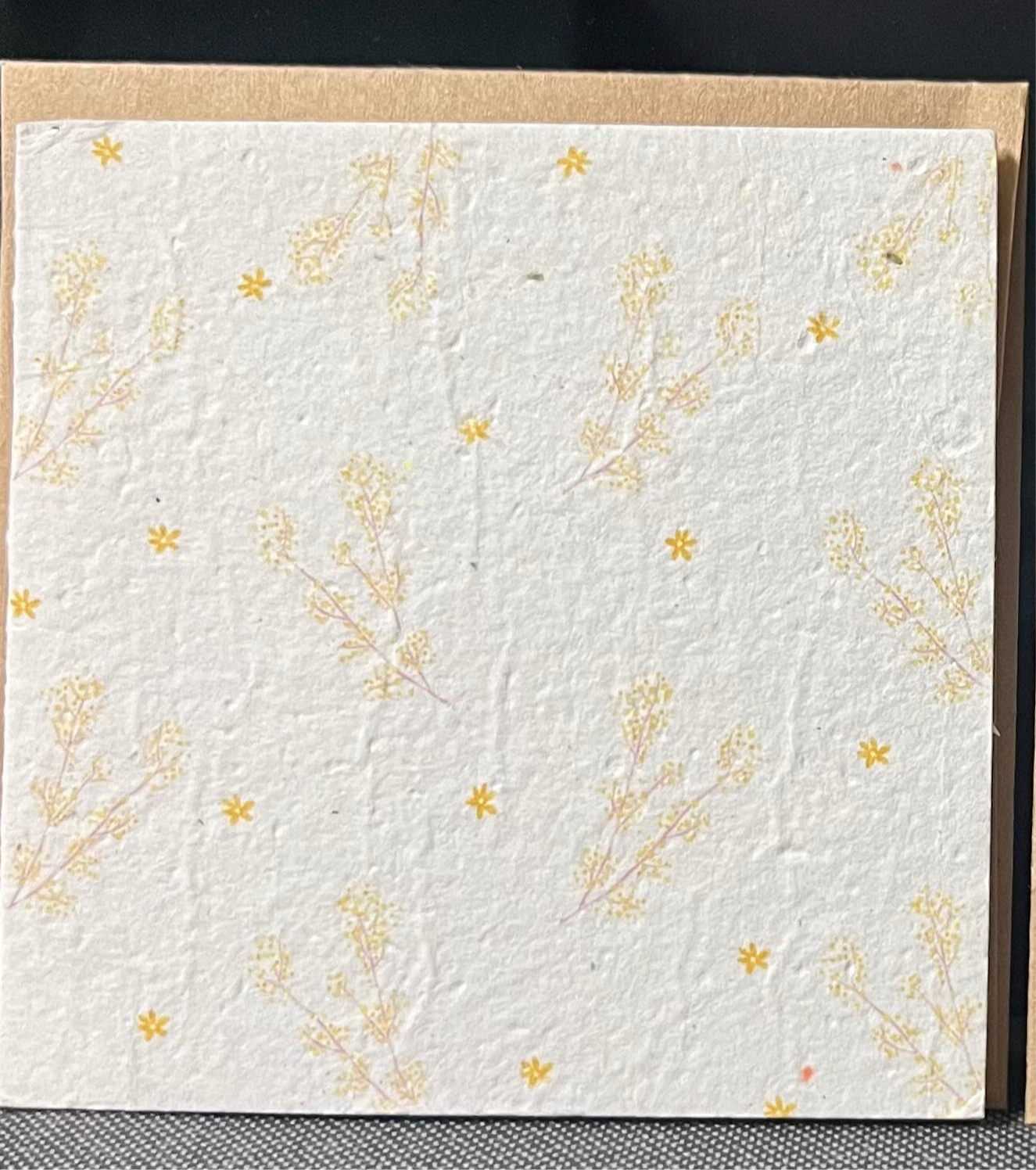 GIFT CARDS - Plantable. SPECIAL PRICE $4
