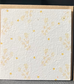 GIFT CARDS - Plantable. SPECIAL PRICE $4