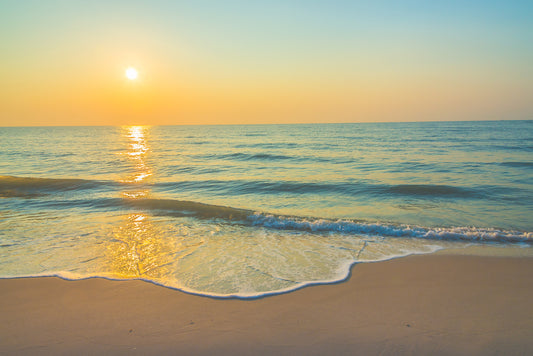 AVAILABILITY OF ALL PRODUCTS IS NOW 2026